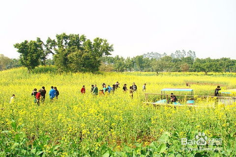 暢游鼎湖沙浦鎮天湖生態園