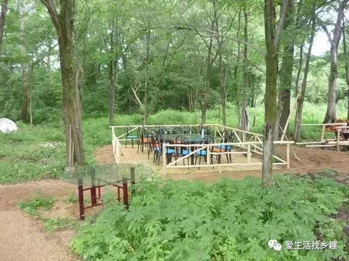 鄉村迪士尼：生態園趣味十足
