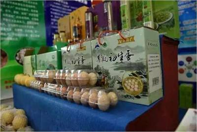 夏日果香四溢，大盛鎮生態園邀您盡享采摘之樂