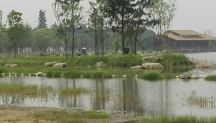 勝地公園 吳江最大的生態(tài)園，自然與人文的完美融合