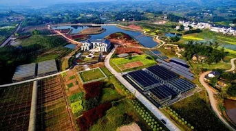 小長假未盡興 江津5月旅游季才剛剛開始 生態(tài)園推薦